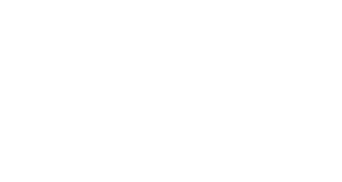 Premium bags Mauritius brand logo